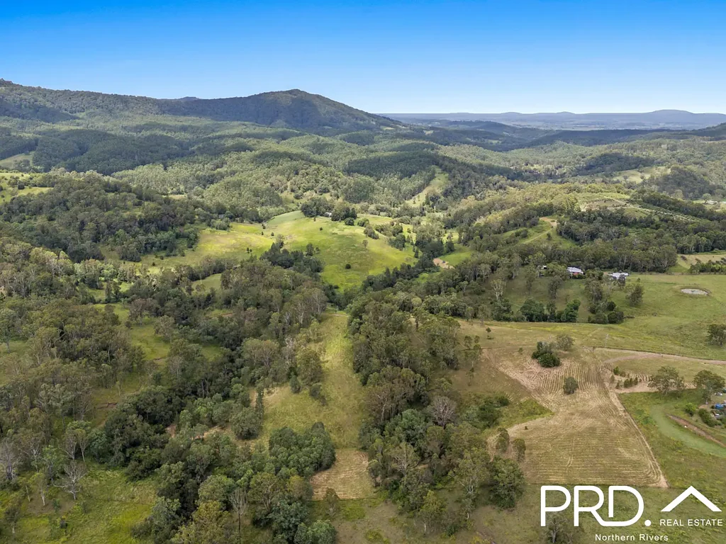 Homeleigh 12.5+ Acres with Creek