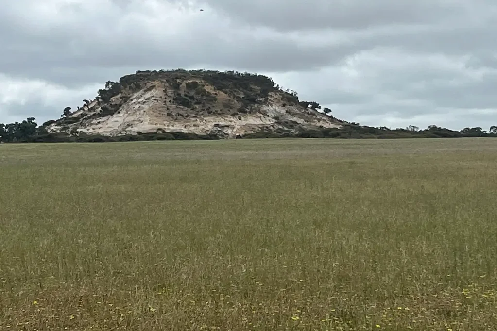Kadathinni  Grow or graze at 'Mamre'