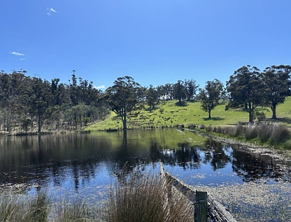 415 Buckland Road, Buckland, South East, 3房, 1浴, Lifestyle Property