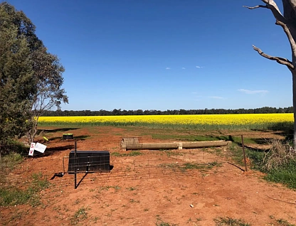 Lot 155 DP750852 Burley Griffin Way, Ariah Park, Riverina, 0 rūma, 0 rūma horoi, Lifestyle Property