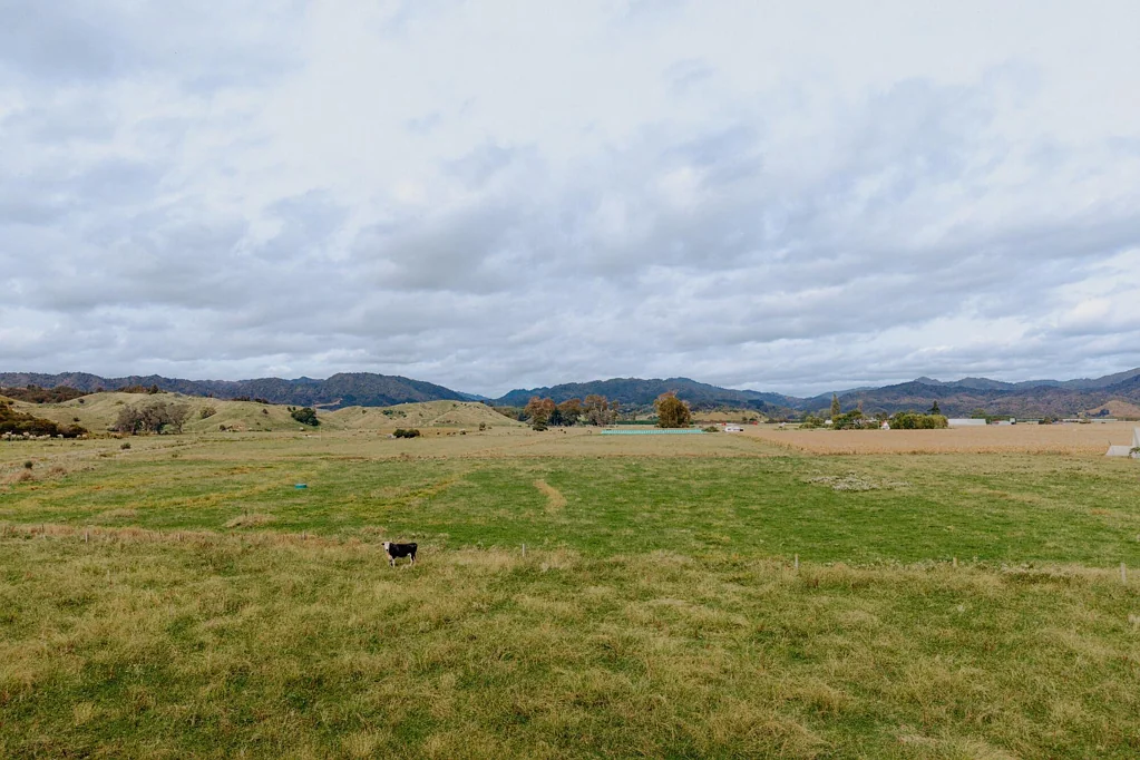Opotiki Surrounds Highly fertile grazing in two titles