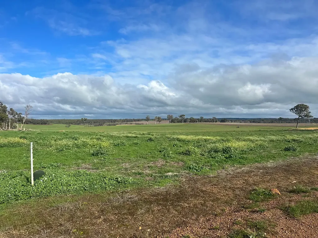 LOT 56/44 Hammerston Way, Frankland River, WA 6396