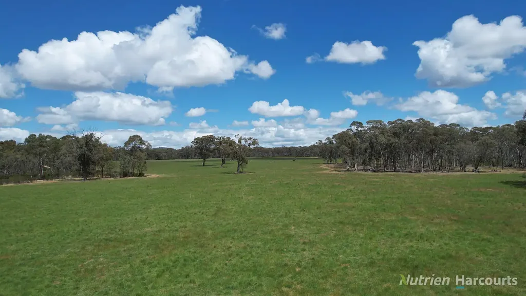 Clunes  Stunning Farming & Bushland Retreat with Scale - 401 acres (162.6ha)