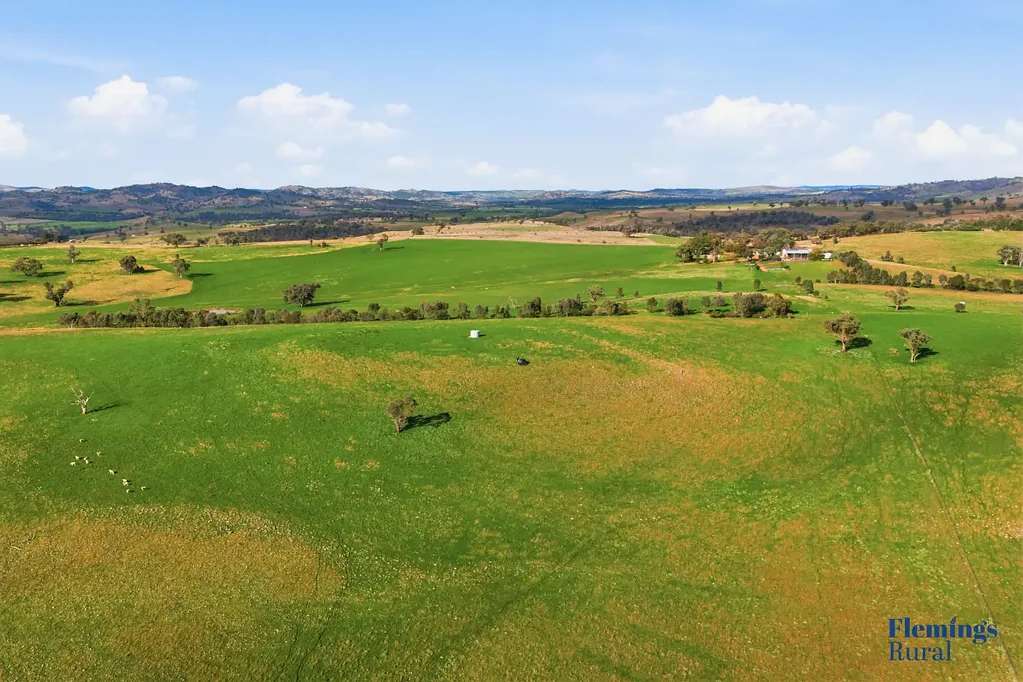 Cowra  Mixed Farming Opportunity - Cowra District