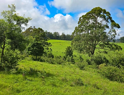 Lot 85 Kynoch Road, Ravensbourne, Darling Downs, 0 ห้องนอน, 0 ห้องน้ำ, Section