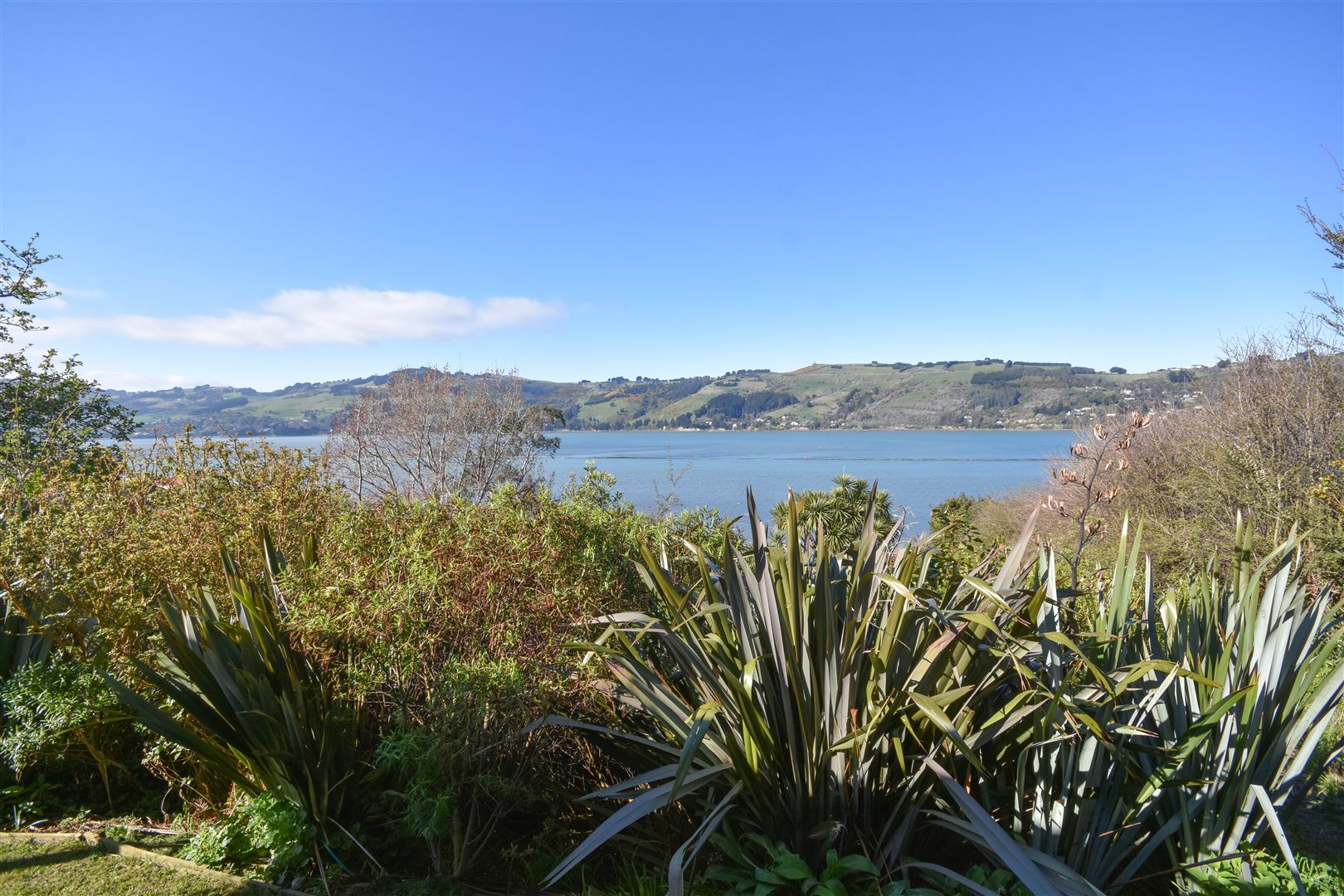 10 Totara Street, Ravensbourne, Dunedin, 3 rūma, 1 rūma horoi