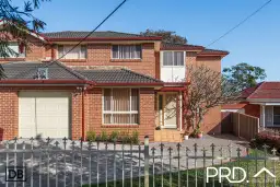 22 Drake Street, Panania