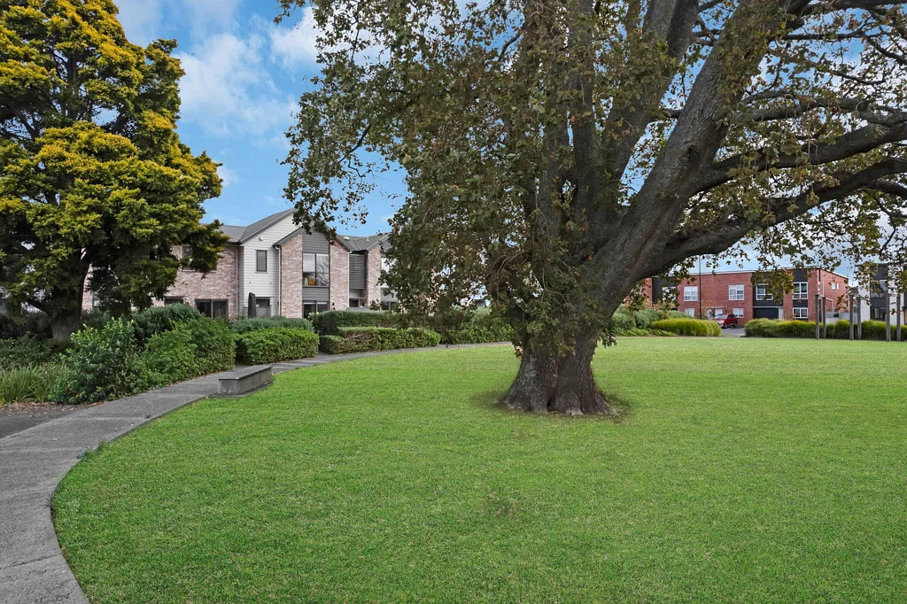 Conifer Grove 3Moenga Modern, Bright & Spacious; Facing Reserve!