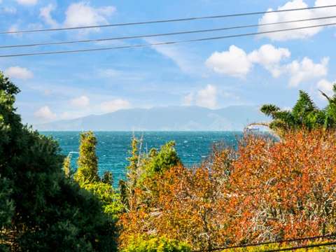 Mairangi Bay 3房 两套海滨物业 无限翻新潜力 总面积959㎡ 完美投资机会！ Coastal Reno Gem