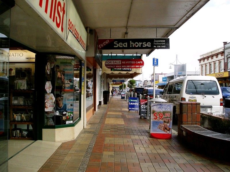 Business  Town Centre Zone