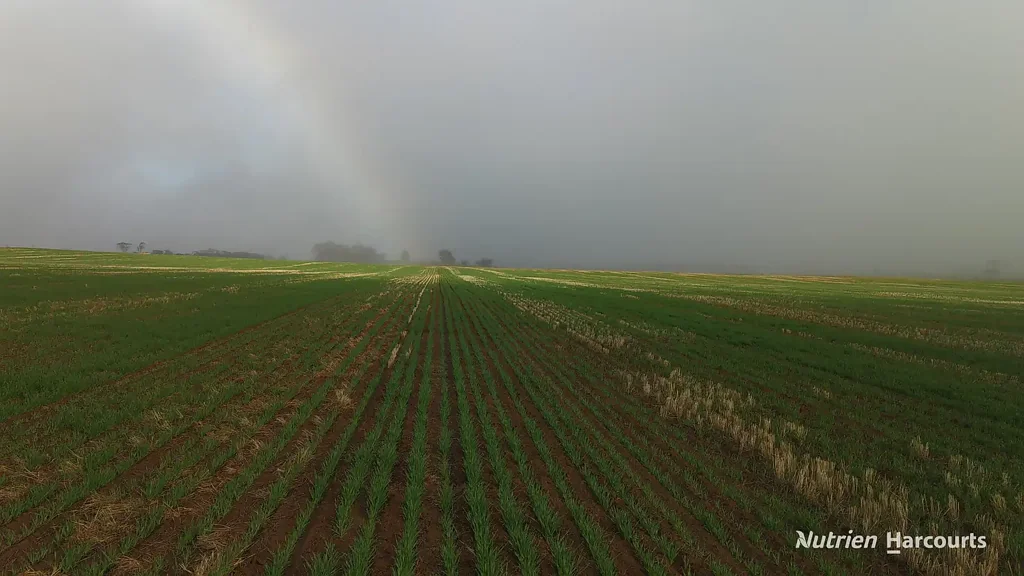 Jitarning Avago" - Productive Mixed Farming Opportunity