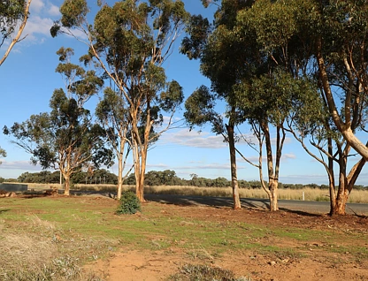  Crn Echuca-Serpentine & Prairie Road, Calivil, Bendigo, 0 ਕਮਰੇ, 0 ਬਾਥਰੂਮ, Lifestyle Property