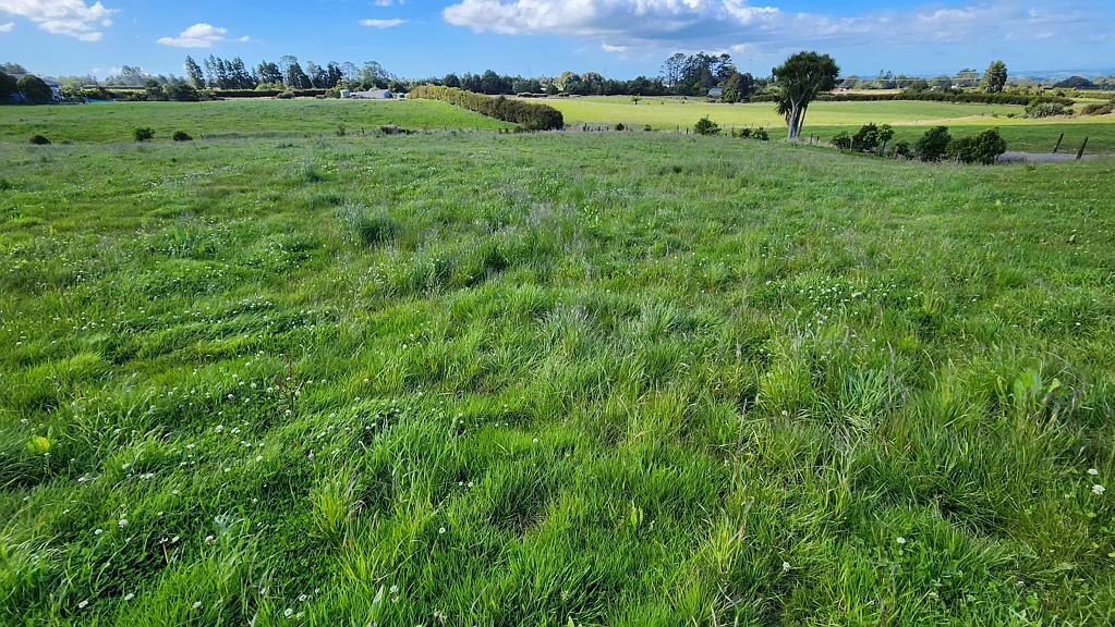 Inglewood  20 Hectare Grazing Block