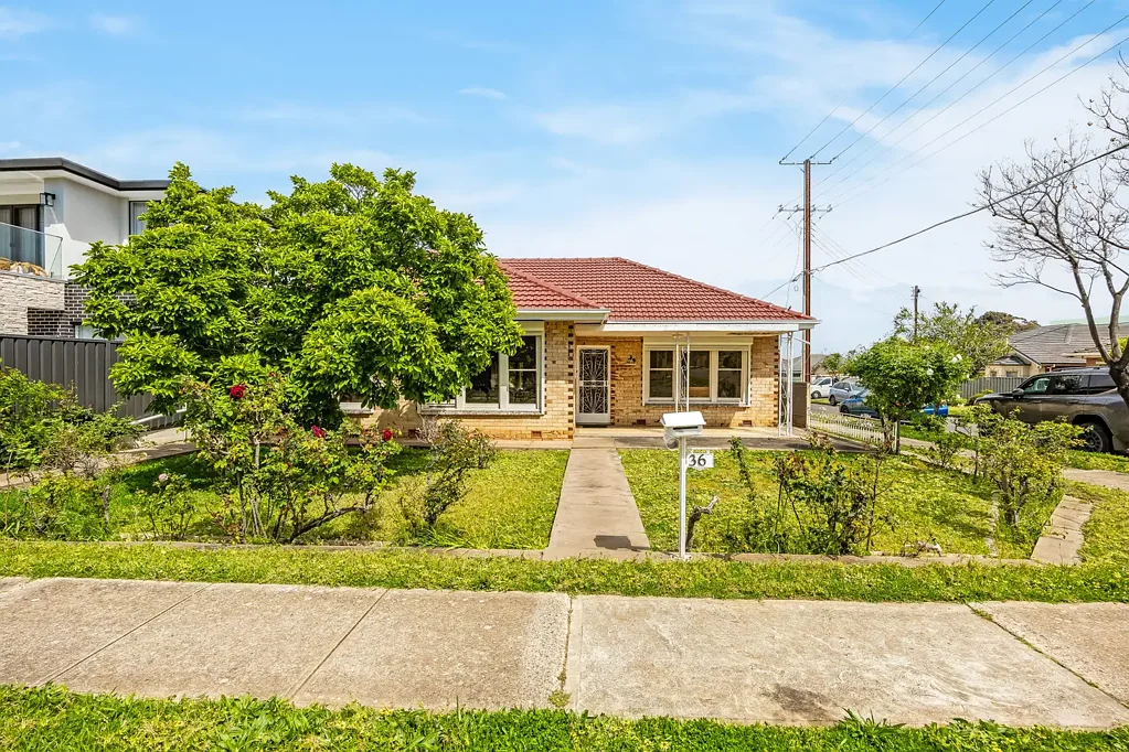 36 Meadow Avenue, Campbelltown, SA 5074