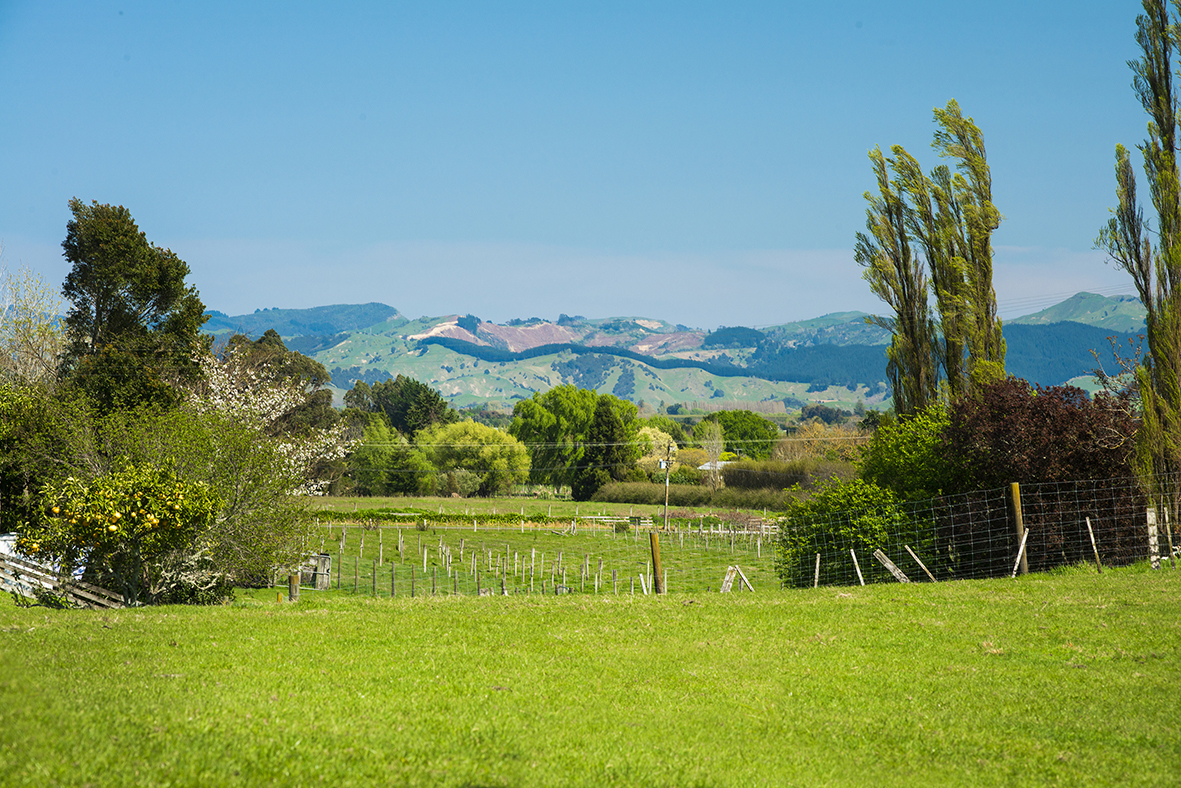 19 Royd Road West, Makauri, Gisborne, 3 ਕਮਰੇ, 2 ਬਾਥਰੂਮ