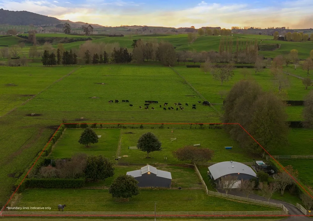 Matamata  Designed for equine enthusiasts