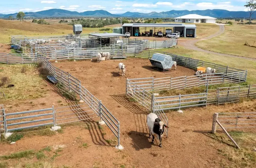 Lower Wonga STUD COMPLEX