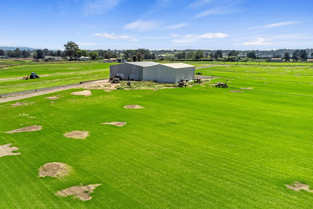 Cornwallis Unique 60-Acre Turf Farm Opportunity