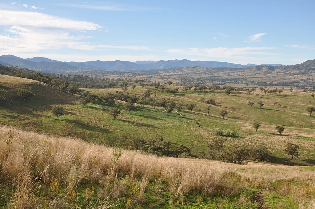 'Glenroy' Tyrone Rd, Bunnan via, Scone, NSW 2337