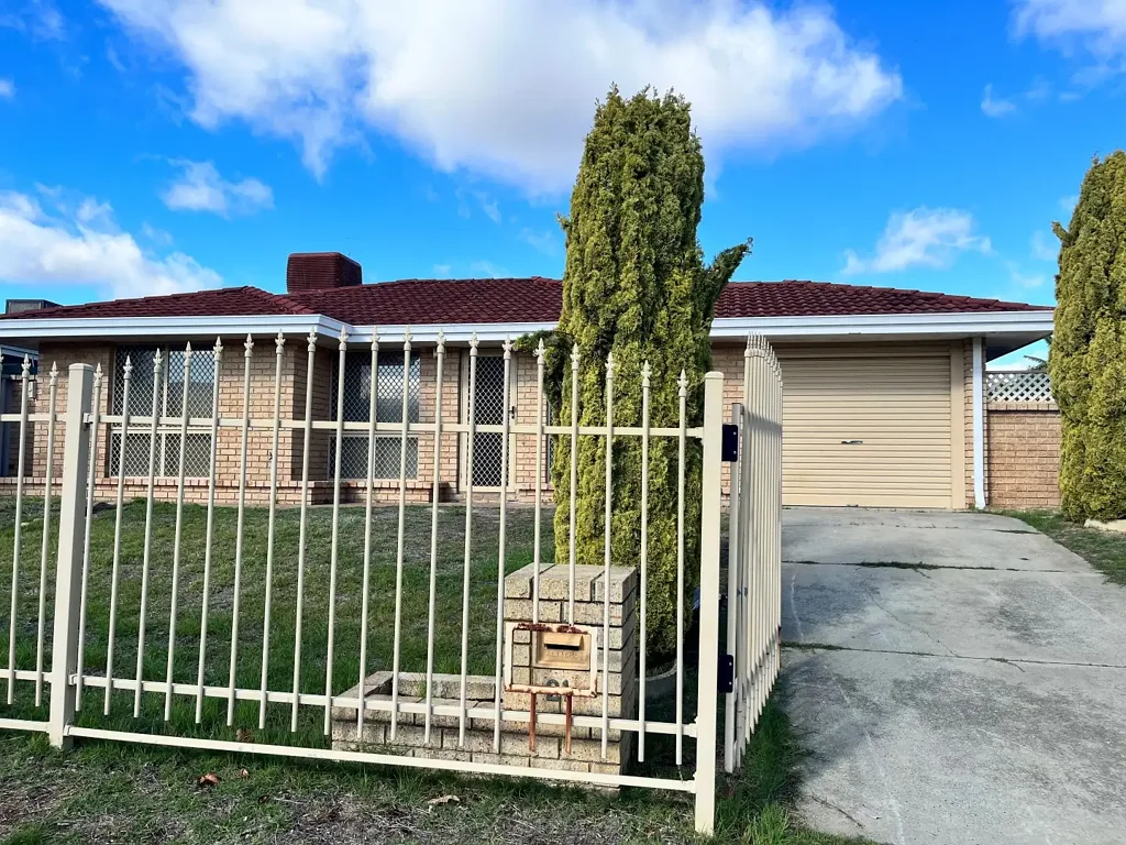 Large Yard with Large Shed