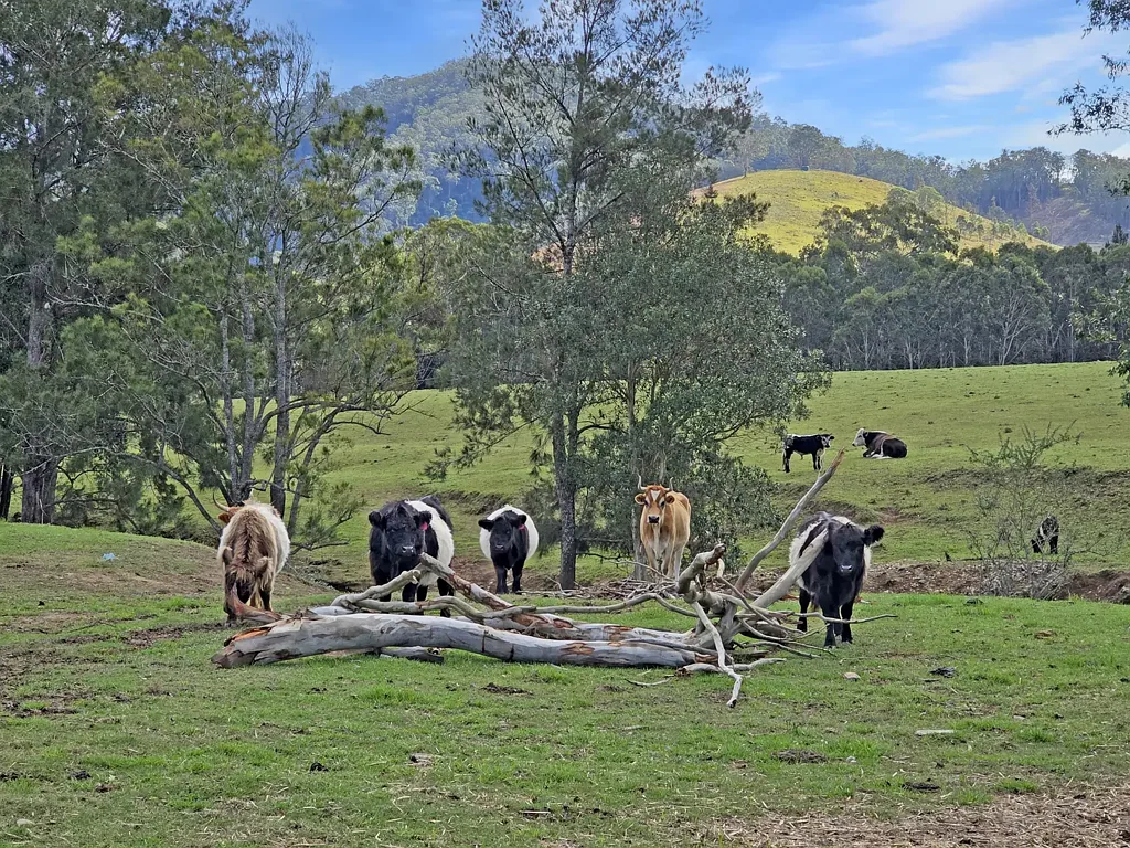 Gloucester  'Jumaron Ridge' - A Scenic Rural Lifestyle Retreat