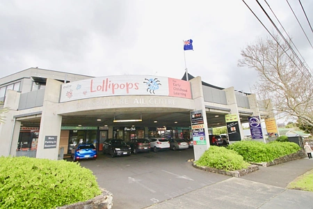 Business  Mixed Use Zone