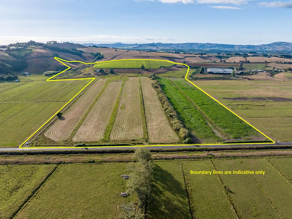 Puni 35 Hectares - Prime Flat Land