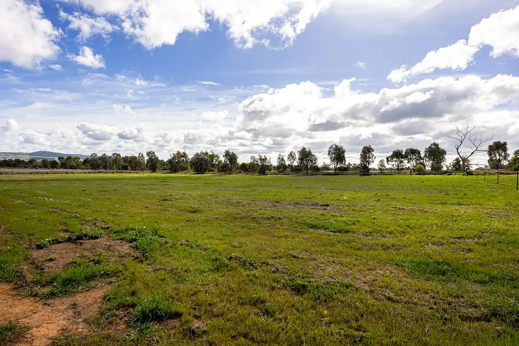 Gobbagombalin Lifestyle Block – 4,680sqm - Registered & Ready to Build