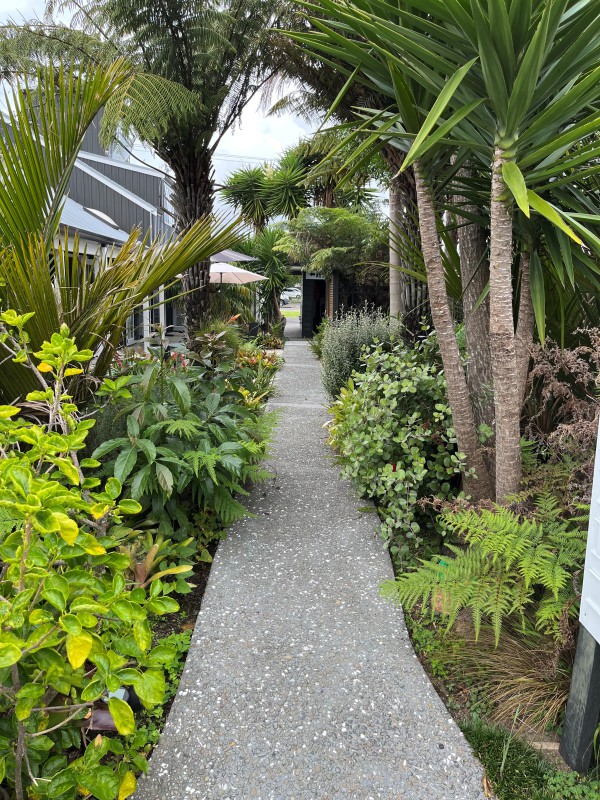 249 Port Road, Whangamata, Coromandel, 0 chambres, 0 salles de bain, Hotels Motels Lodges B&B