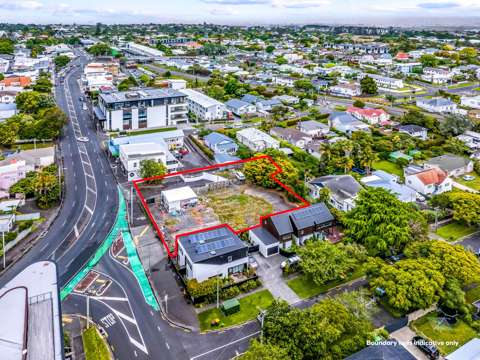 Mount Albert DEVELOP OR OCCUPY
