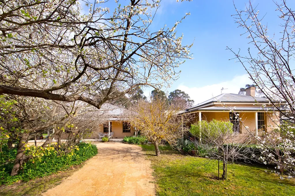Muckleford 4 Bedroom 1864 Ross Farm homestead, set on 5 idyllic acres.