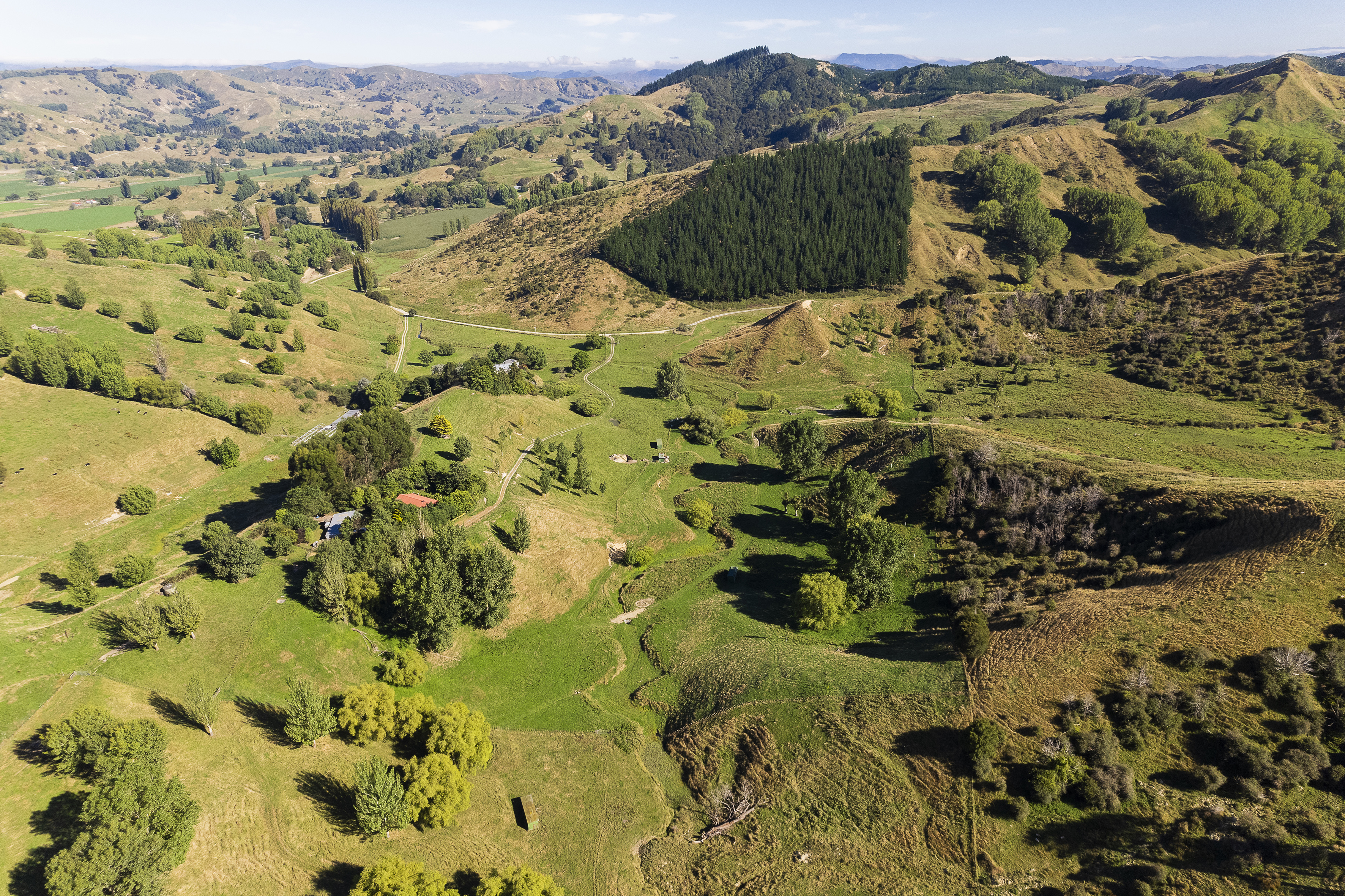 200 Campbell Road, Ngatapa, Gisborne, 0 chambres, 0 salles de bain, Grazing