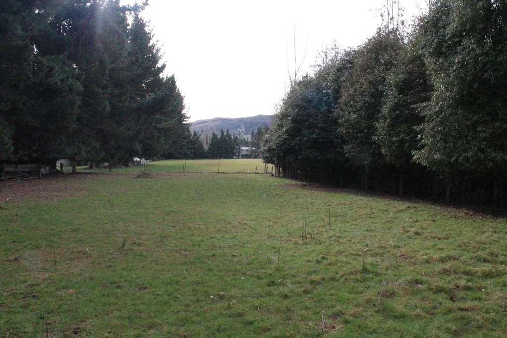 Lumsden 61 Meadow Street