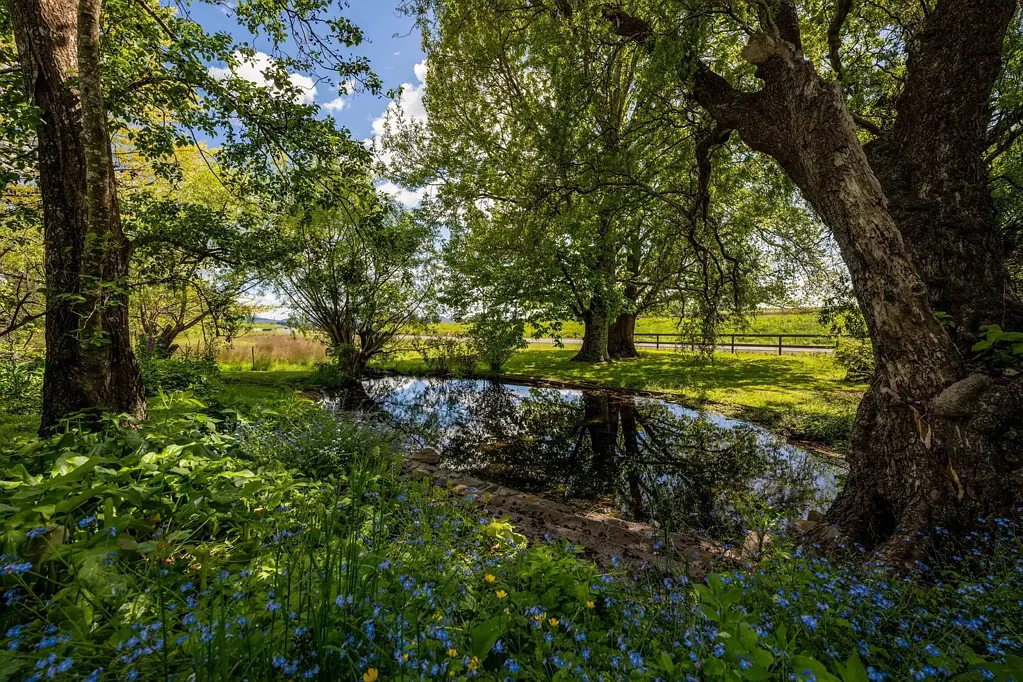Deloraine 5ห้องนอน Forest Holm - An Historic 1857 Homestead Steeped in Charm and Country Beauty