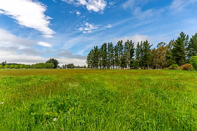 54 Studholme Settlement Road, Waimate, 0 침실, 0 욕실, Lifestyle Section