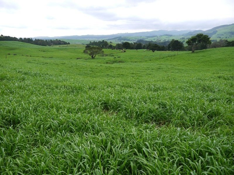 259 Waimata Road, Dargaville Surrounds, Kaipara, 0 ห้องนอน, 1 ห้องน้ำ