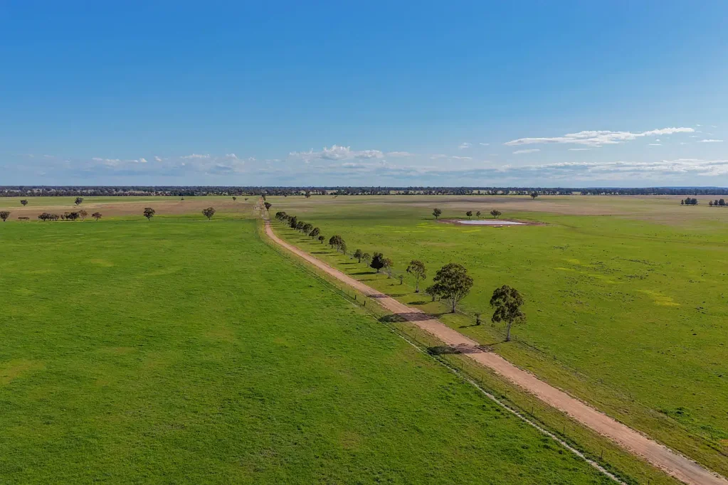 West Wyalong 'Greendale' | Outstanding 4,526-acre holding