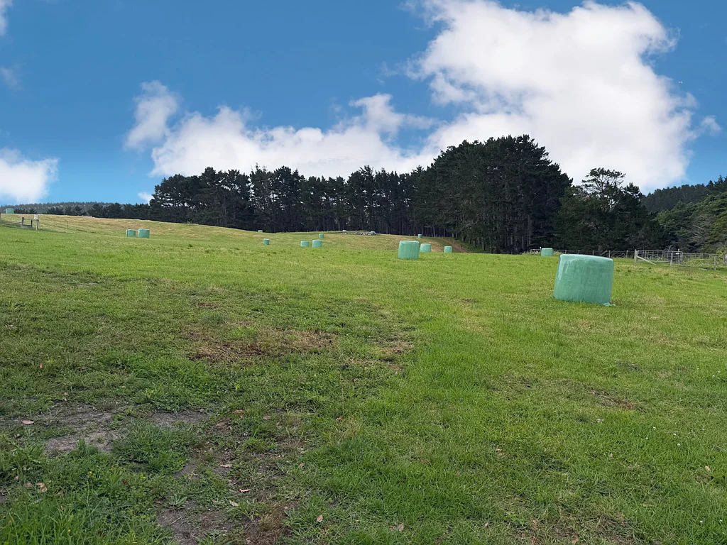 Dargaville  Ready to Go - Section
