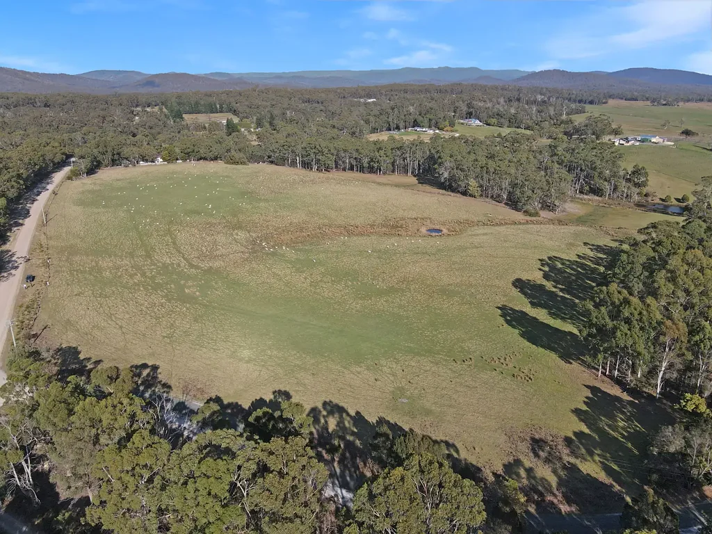 St Helens Versatile 29 Acre Property with Endless Potential