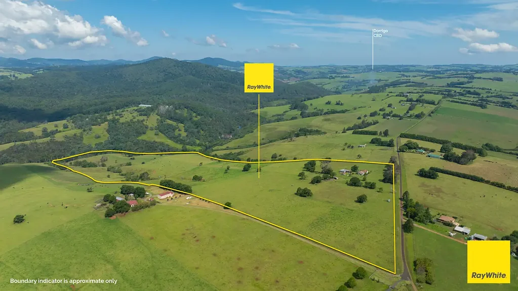 262 Snows Road, Dorrigo, NSW 2453