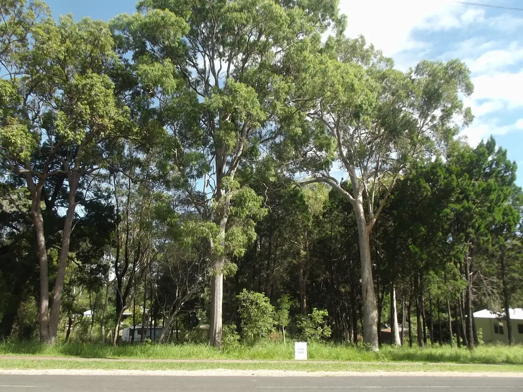 Macleay Island Great Location