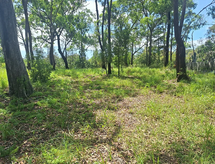 5 Blue Vista St, Macleay Island, Redland City Region, 0 chambres, 0 salles de bain, Section
