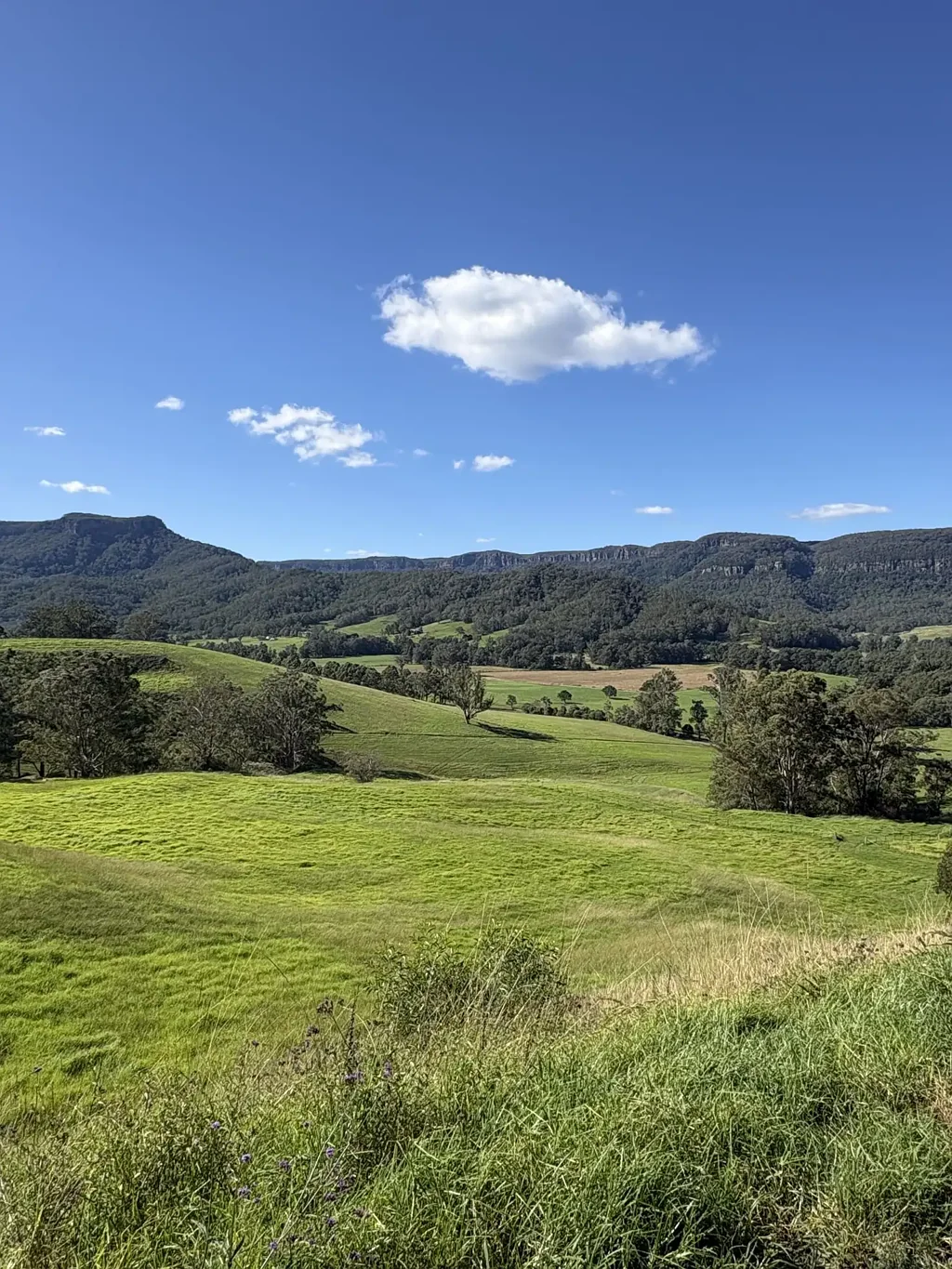 Kangaroo Valley Large Land Holding Kangaroo valley 1.5 Hrs south of Sydney