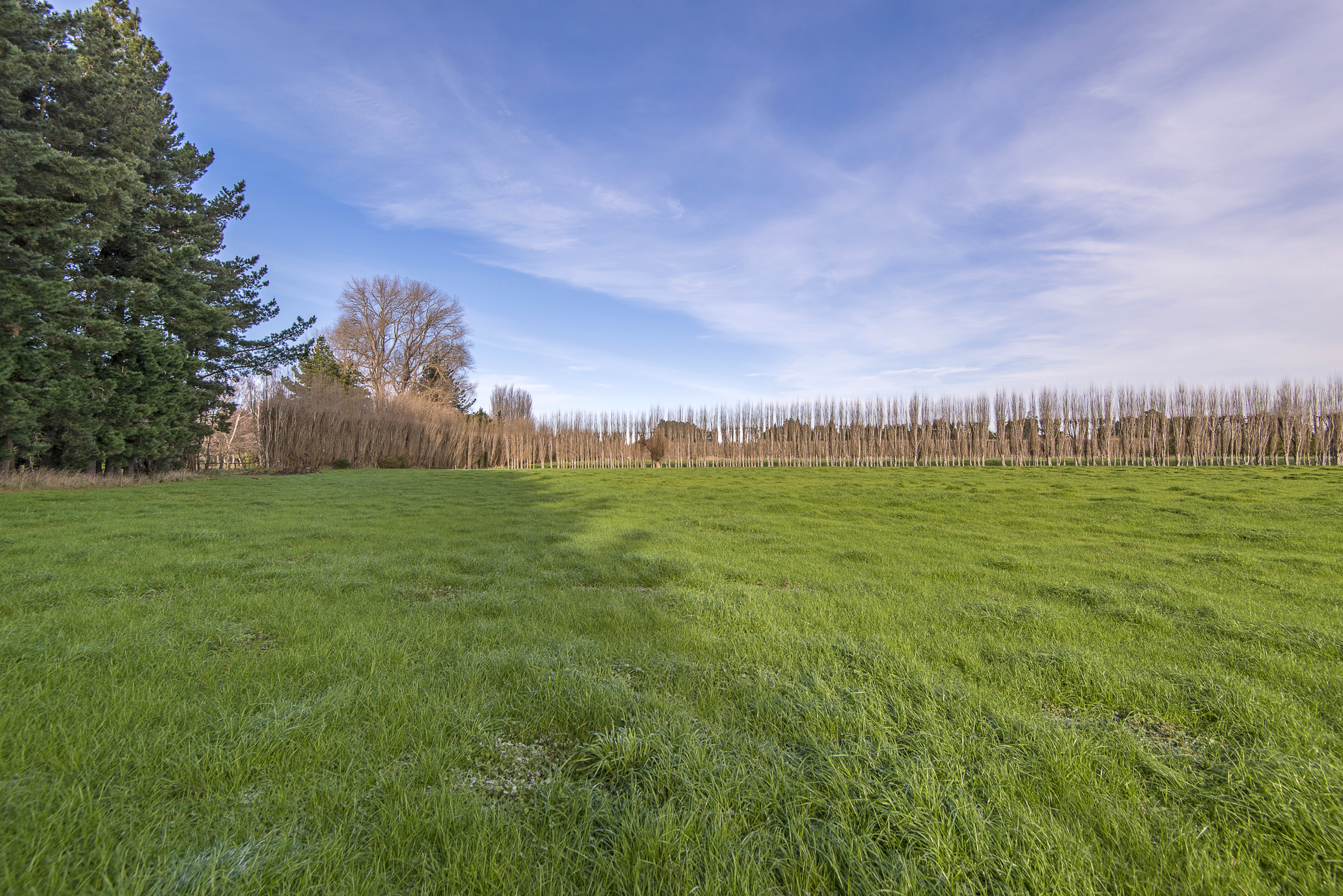 10 Jelfs Road, Woodend, Waimakariri, 0 chambres, 0 salles de bain