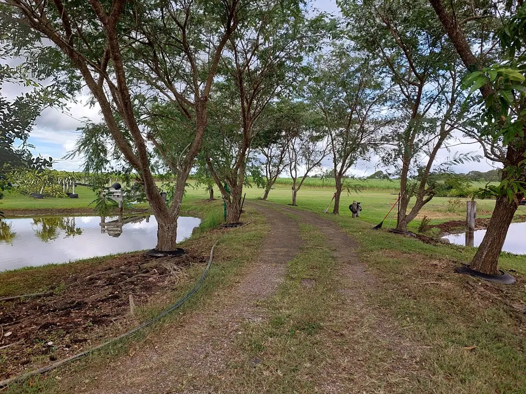 Island Plantation  UNIQUE 4 ACRE HOBBY FARM