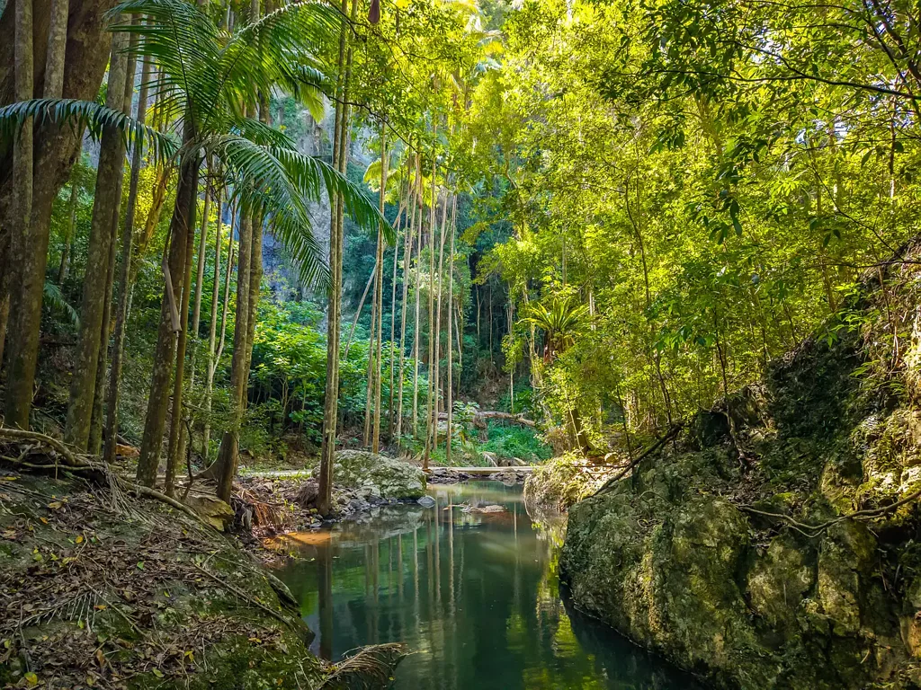 Tamborine Mountain 5침실 Breathtaking Estate with Business Potential