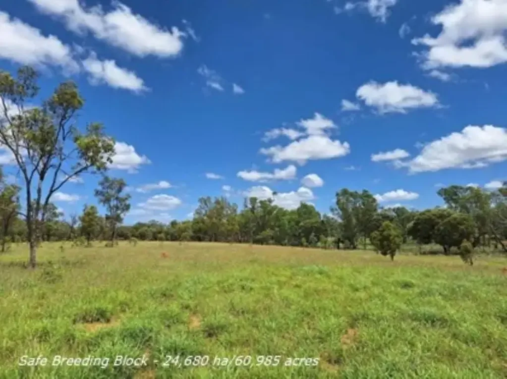 Jericho 4Habitaciones FOR SALE: Safe breeding block - Speculation: 24,923 ha/61,586 acres