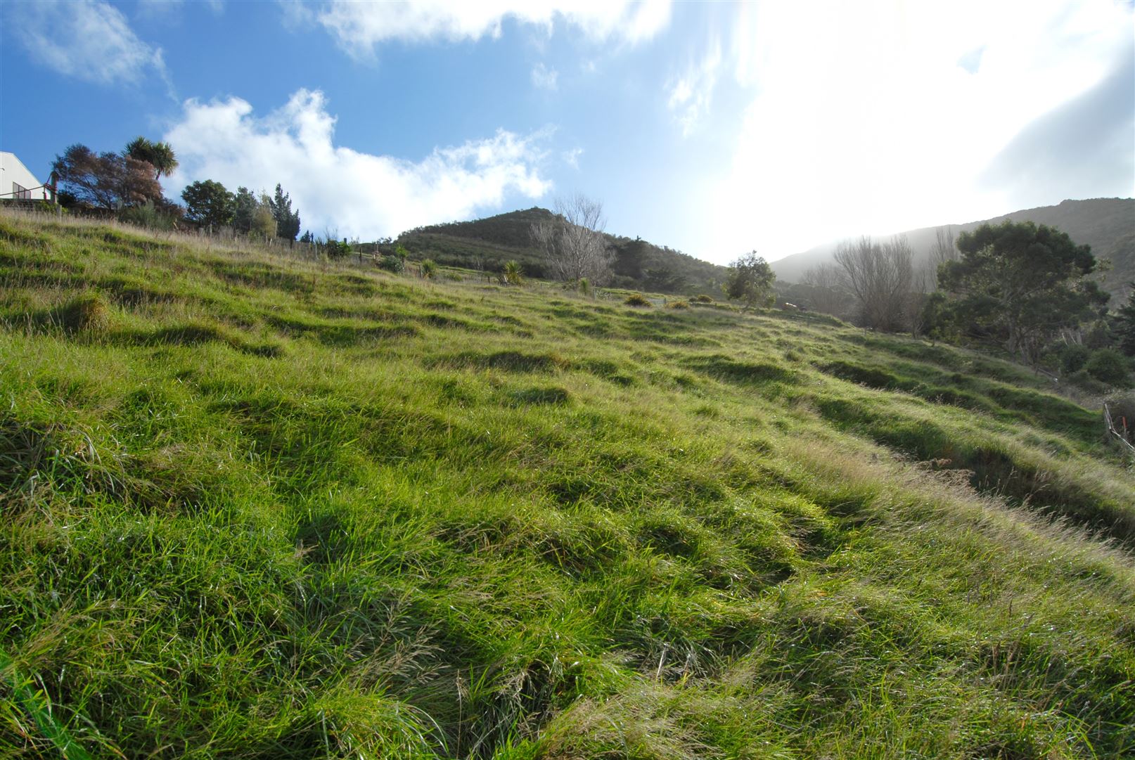 16 Harmans Road, Lyttelton, Christchurch, 0 રૂમ, 0 બાથરૂમ