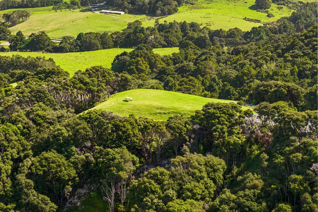 Mangawhai  Space, Serenity and Sweeping Views - View Now!