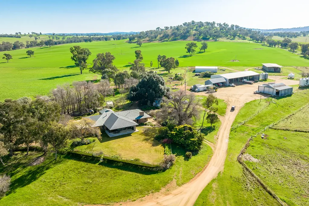 Culcairn 2812.75* acres/ 1138.30* Ha

OUTSTANDING EASTERN RIVERINA HOLDING